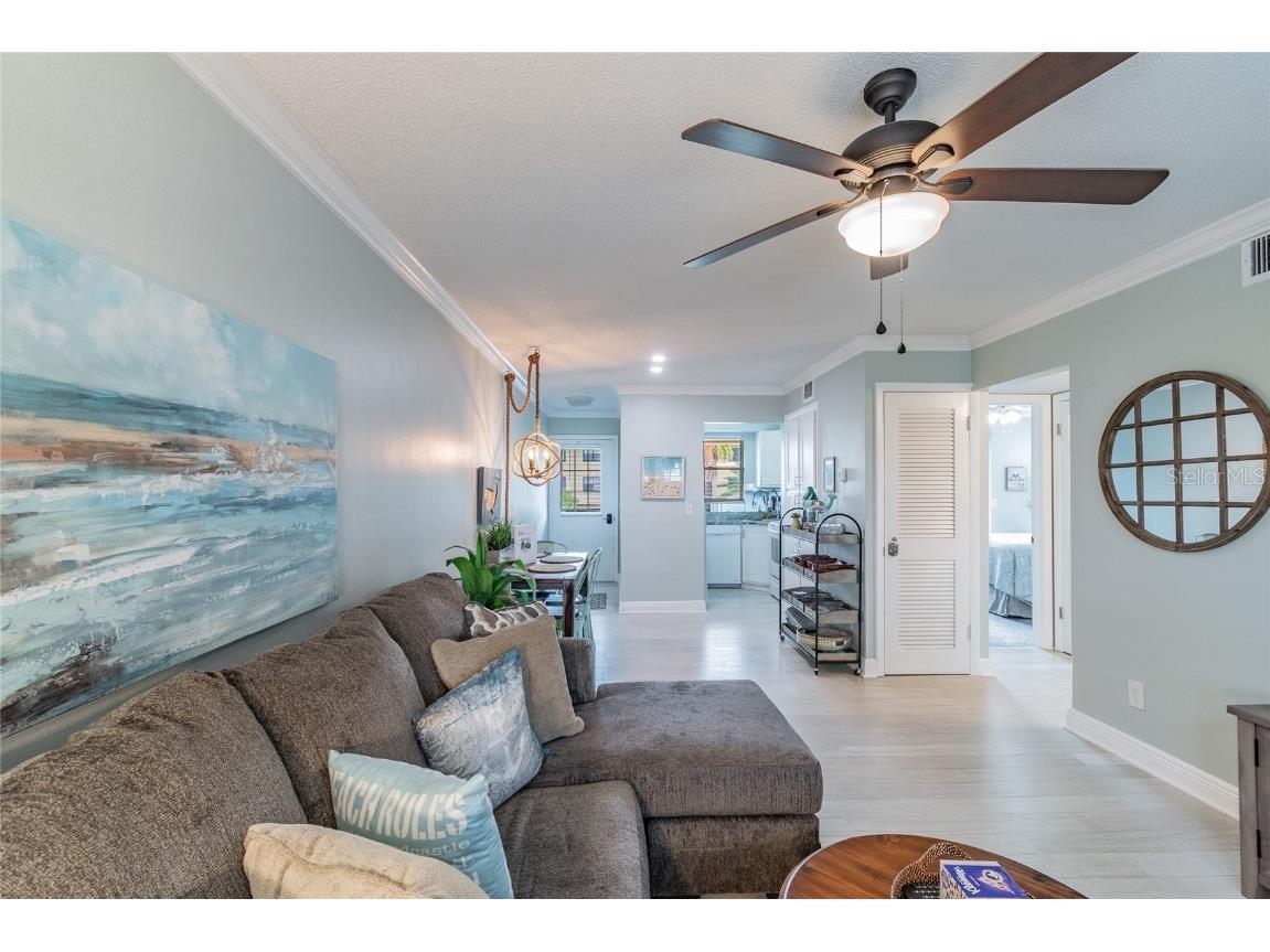 439 S Paula Drive #202 Dunedin FL 34698 TB8422357 image6