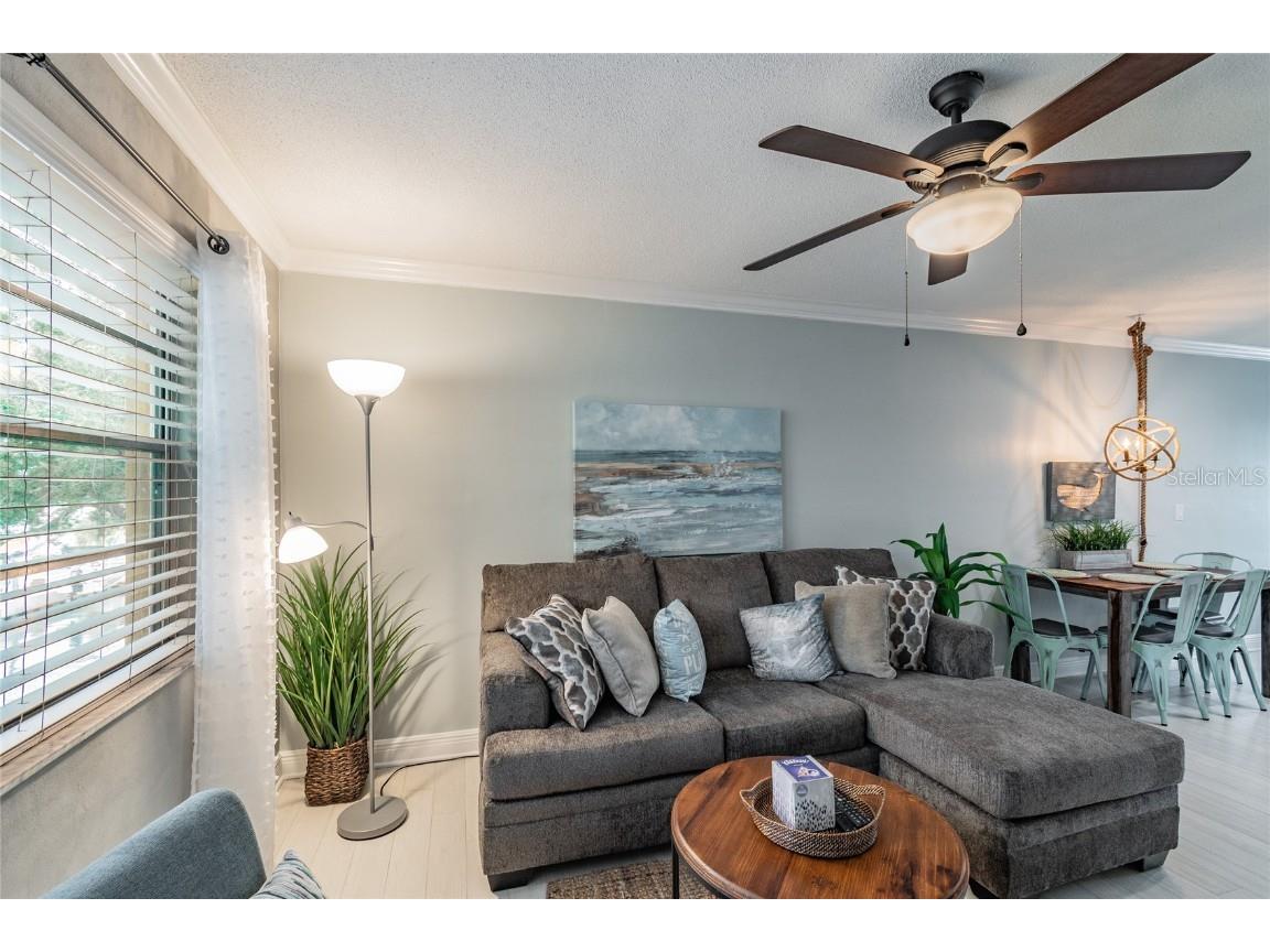 439 S Paula Drive #202 Dunedin FL 34698 TB8422357 image7