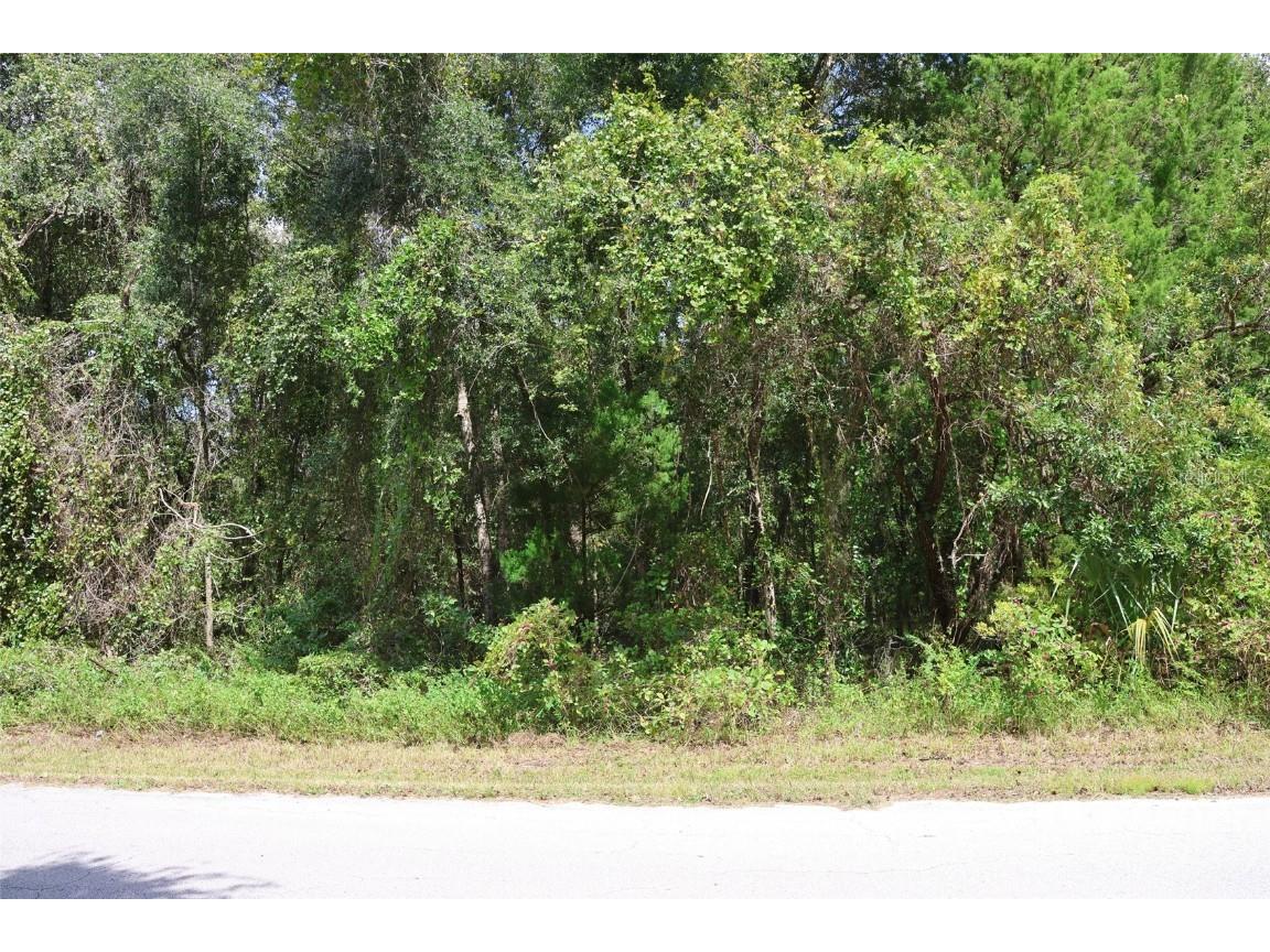 439 S Snapp Avenue Inverness FL 34453 W7868736 image1