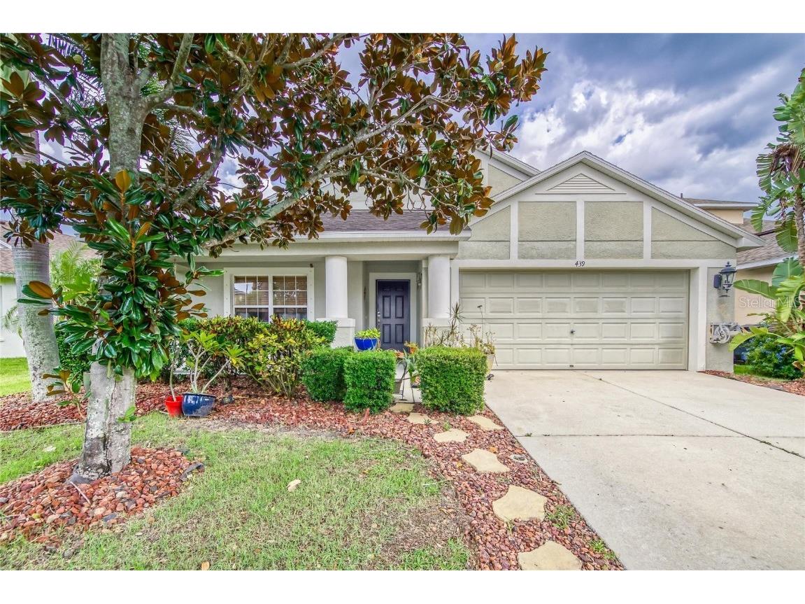 439 Stone Briar Drive Ruskin FL 33570 T3383267 image1