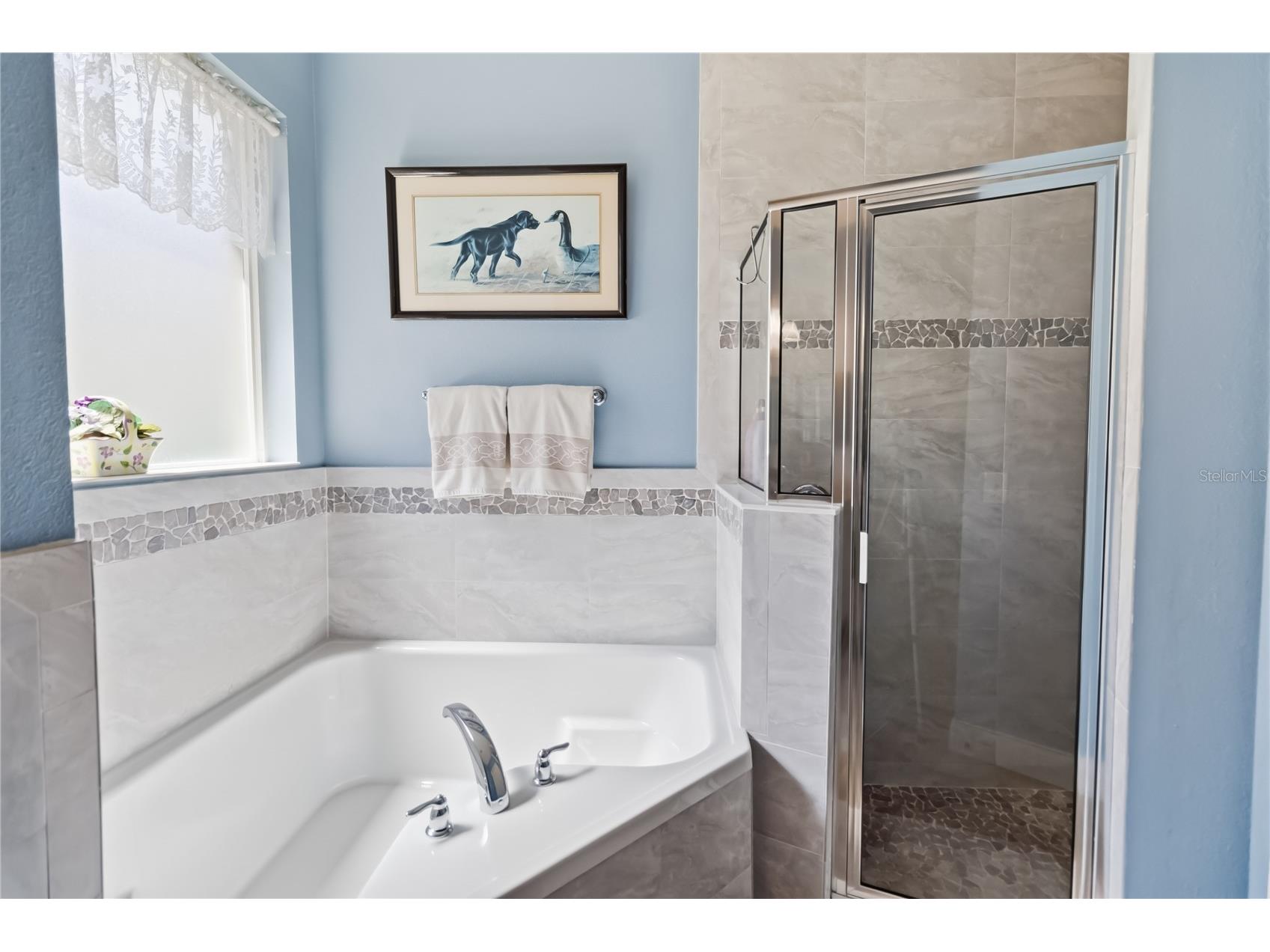 439 Victoria Hills Drive Deland FL 32724 TB8484596 image19