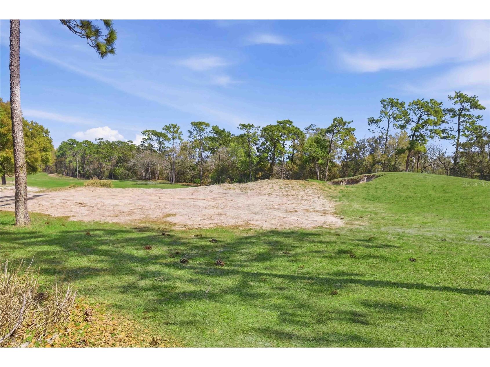 439 Victoria Hills Drive Deland FL 32724 TB8484596 image30