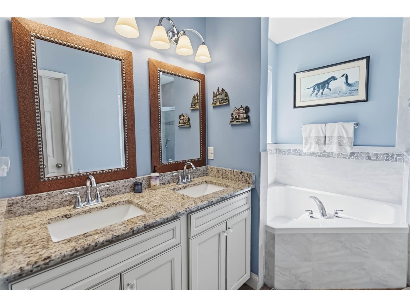 439 Victoria Hills Drive Deland FL 32724 TB8484596 image6