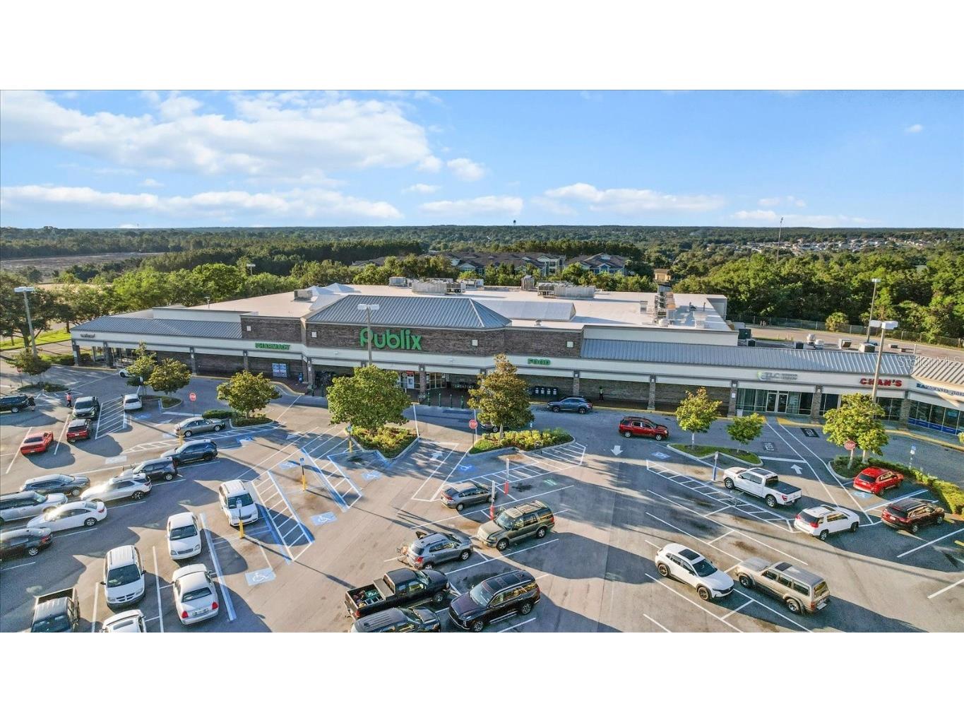 439 W Twisted Oaks Drive Beverly Hills FL 34465 OM712258 image37