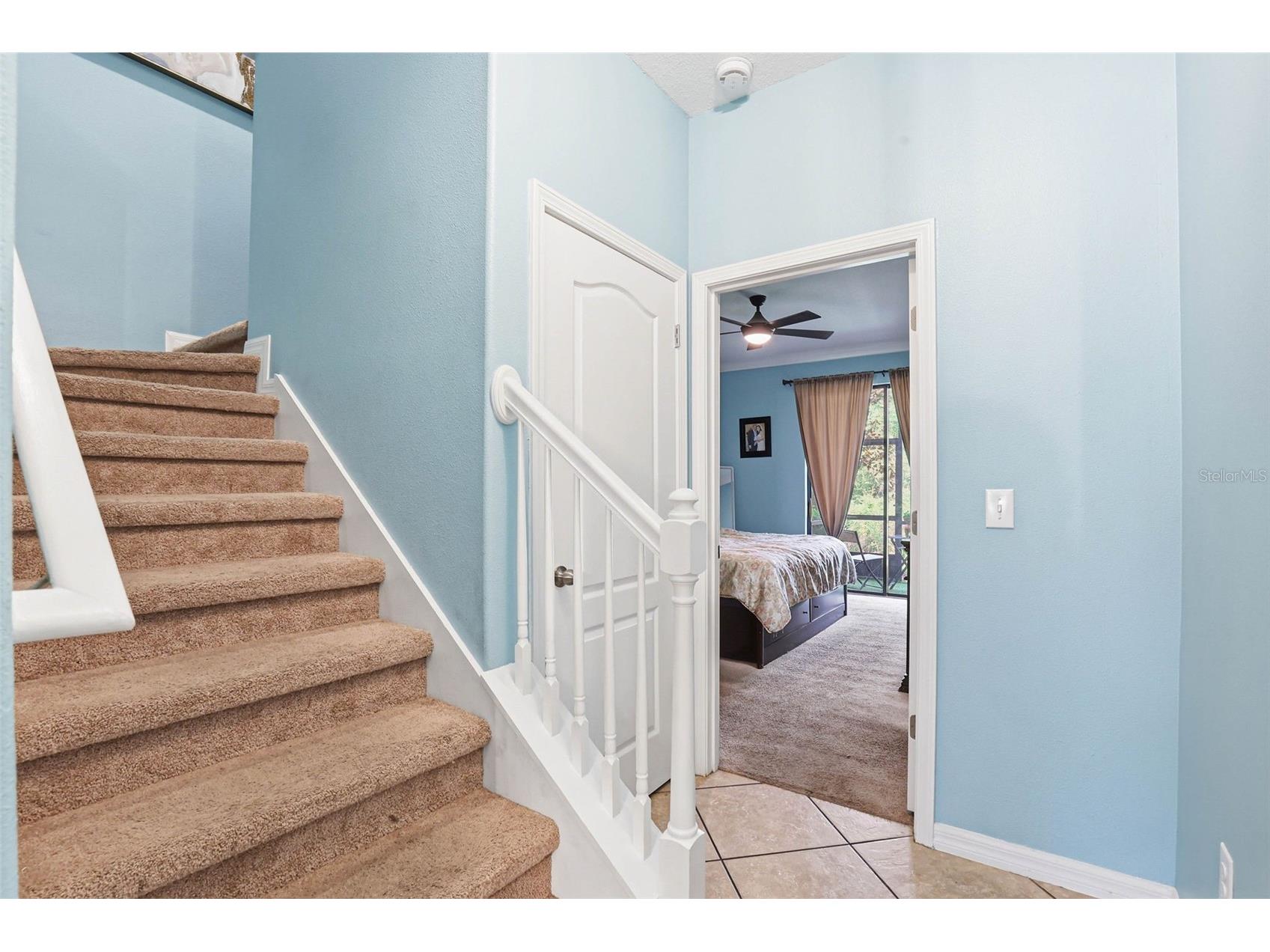 4390 Fennwood Court Wesley Chapel FL 33543 TB8495165 image20