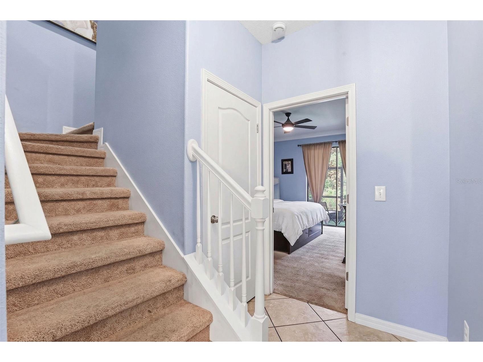 4390 Fennwood Court Wesley Chapel FL 33543 TB8495165 image21