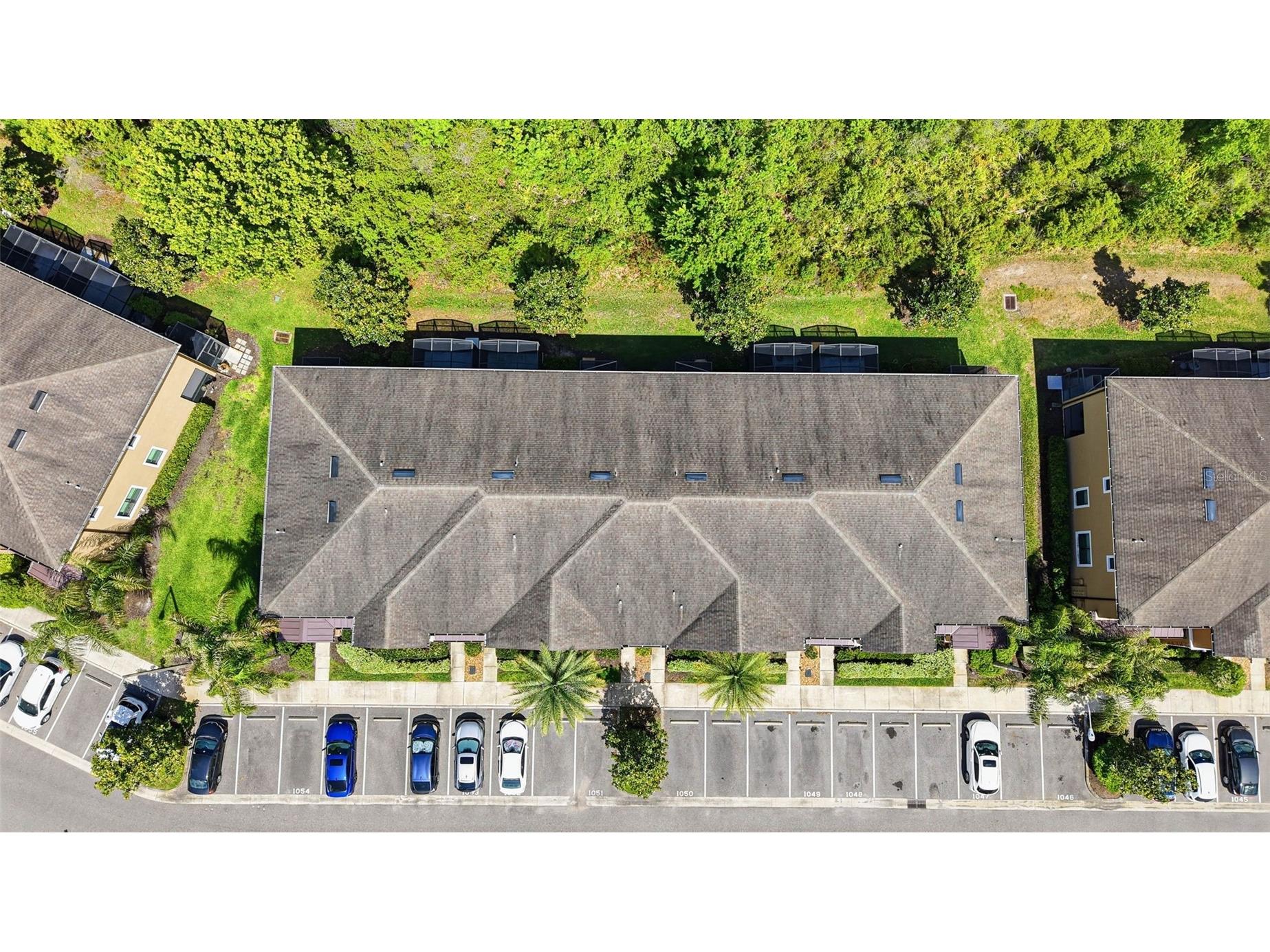 4390 Fennwood Court Wesley Chapel FL 33543 TB8495165 image53