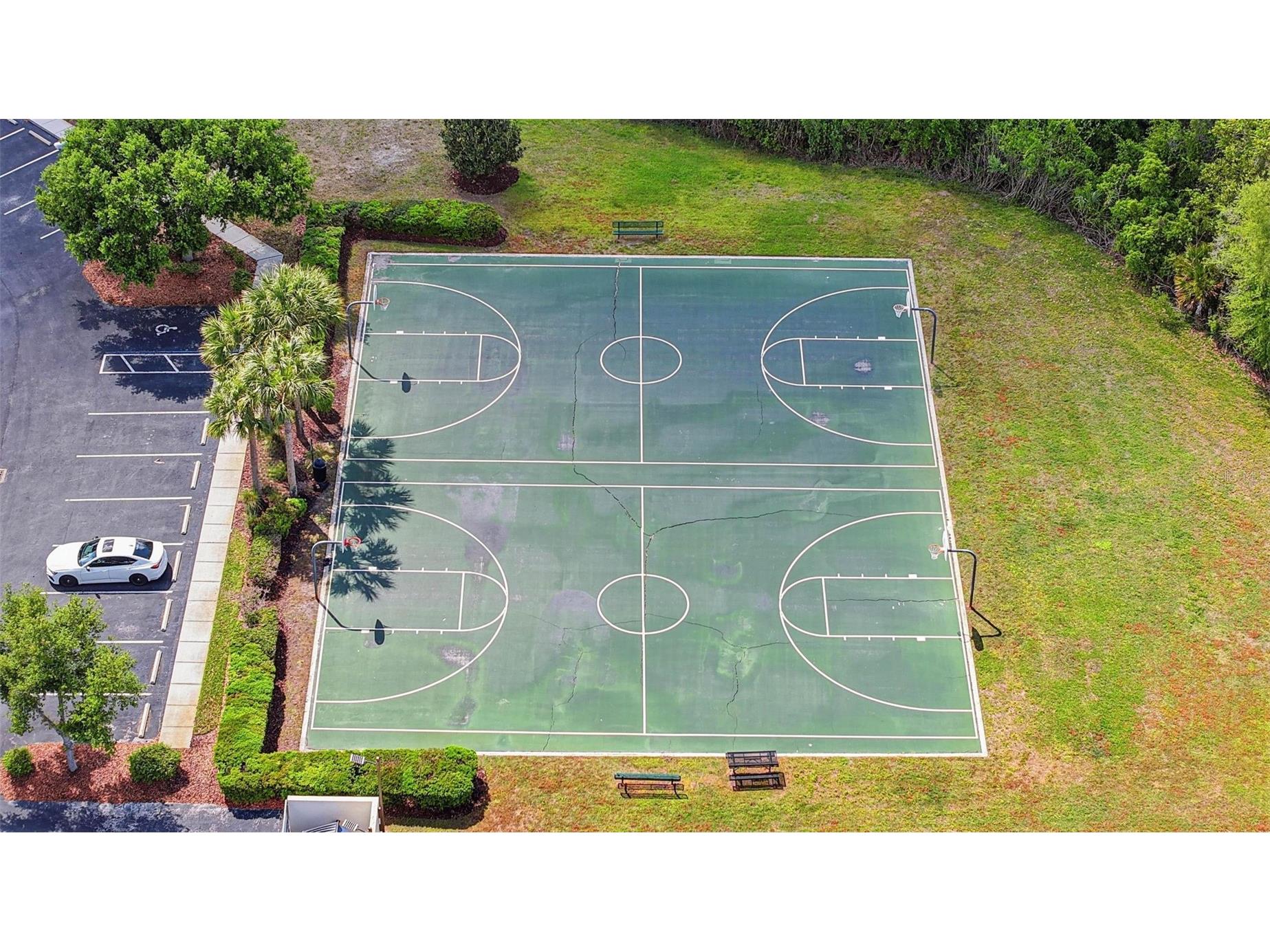 4390 Fennwood Court Wesley Chapel FL 33543 TB8495165 image61
