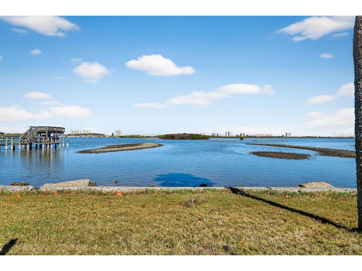 4390 Halifax Drive Port Orange FL 32127 - HALIFAX RIVER V4947670 image2