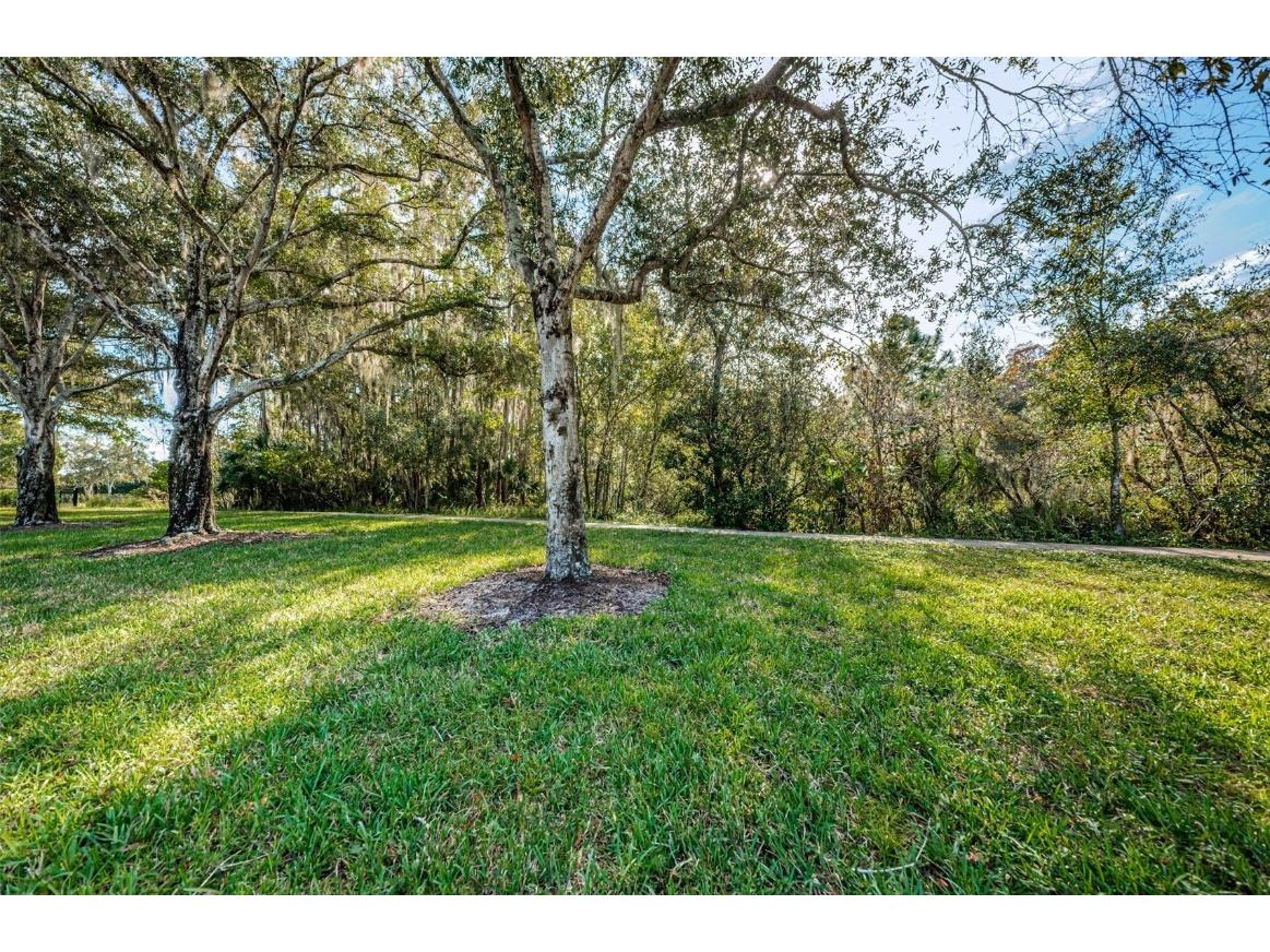 4390 Tarpon Lake Boulevard Palm Harbor FL 34685 - LAKE TARPON U8200843 image11