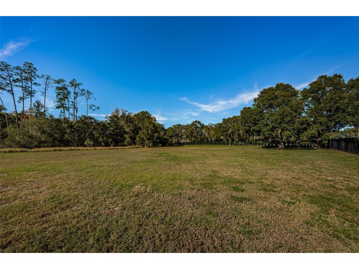 4390 Tarpon Lake Boulevard Palm Harbor FL 34685 - LAKE TARPON U8200843 image14