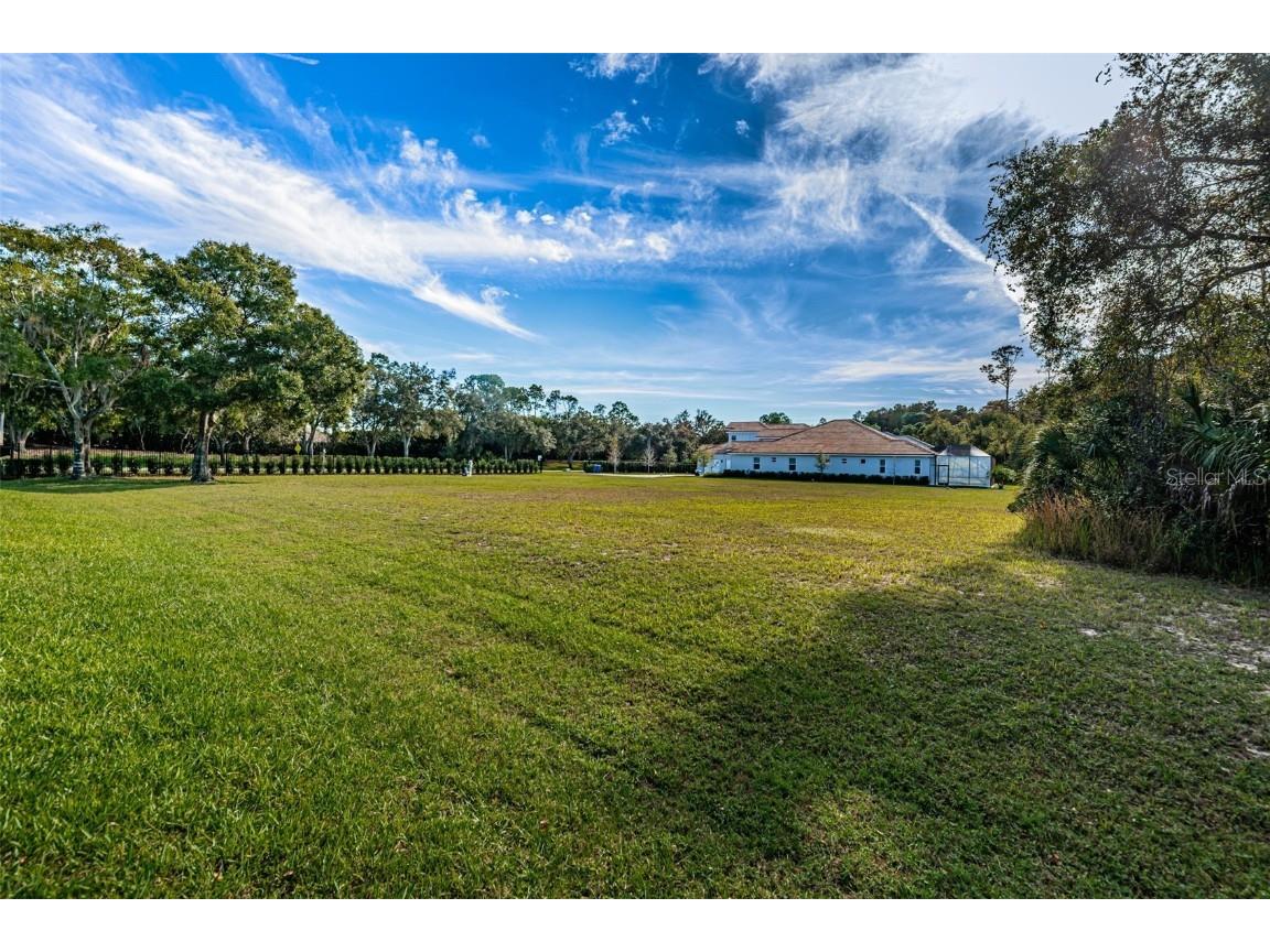 4390 Tarpon Lake Boulevard Palm Harbor FL 34685 - LAKE TARPON U8200843 image15