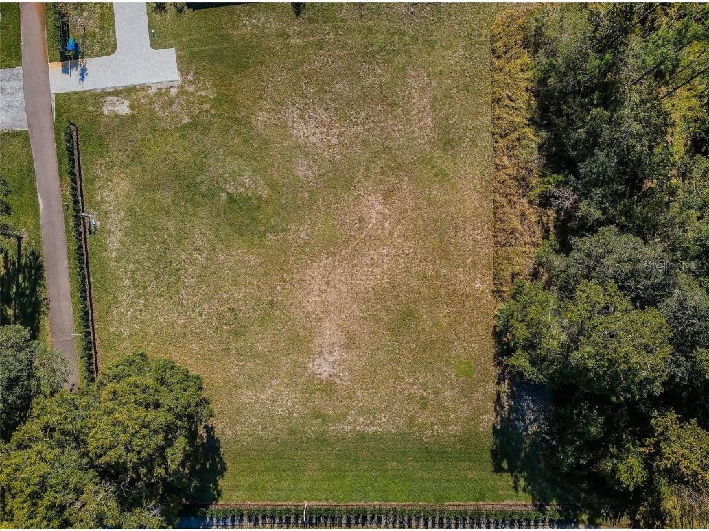 4390 Tarpon Lake Boulevard Palm Harbor FL 34685 - LAKE TARPON U8200843 image16