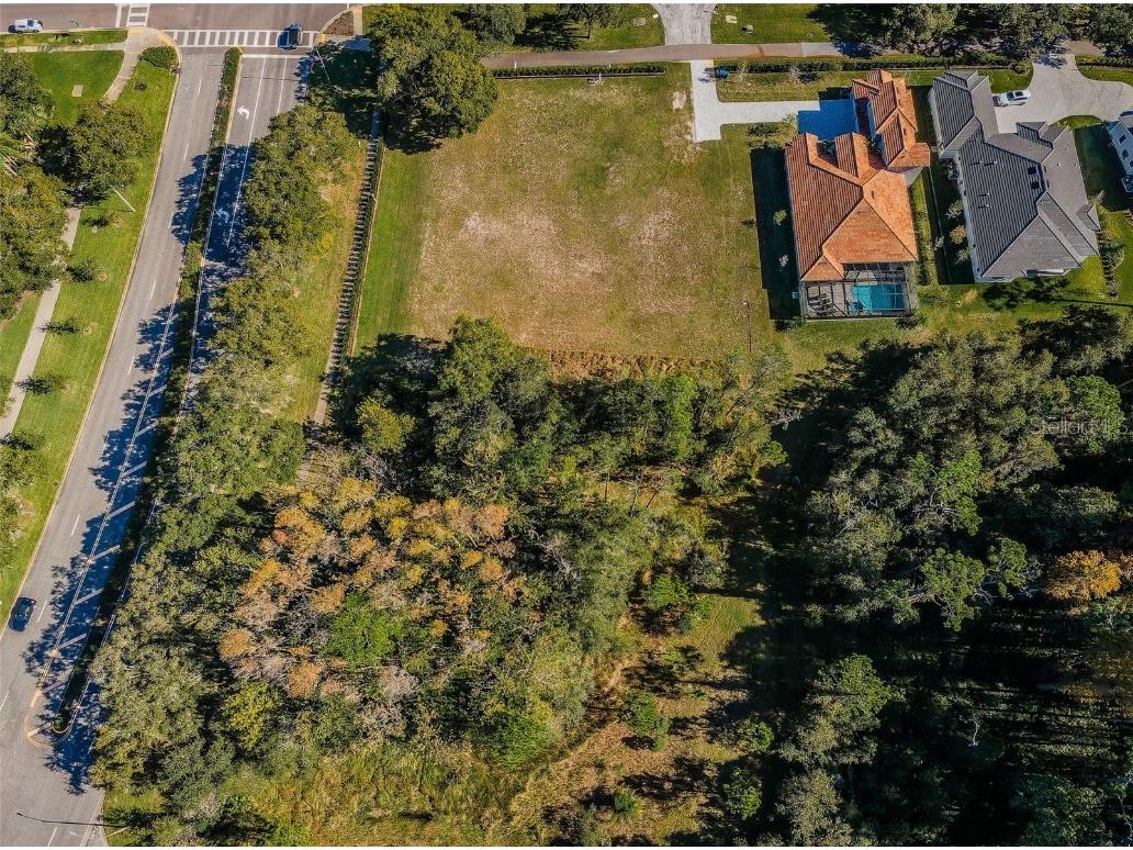 4390 Tarpon Lake Boulevard Palm Harbor FL 34685 - LAKE TARPON U8200843 image18