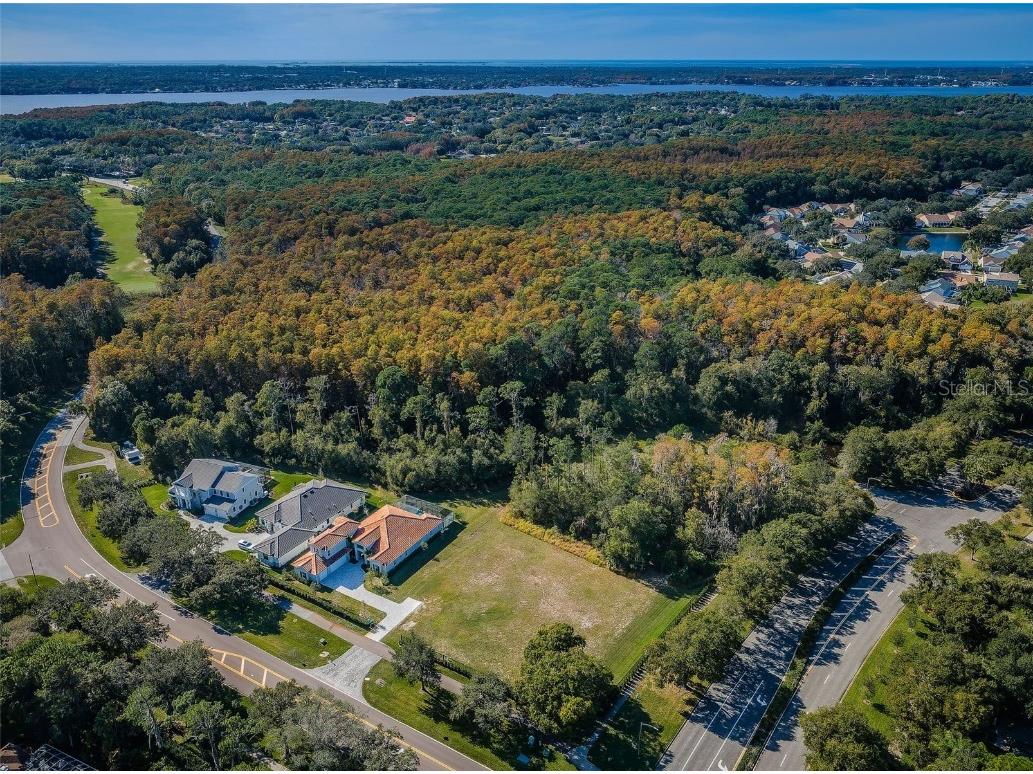 4390 Tarpon Lake Boulevard Palm Harbor FL 34685 - LAKE TARPON U8200843 image2