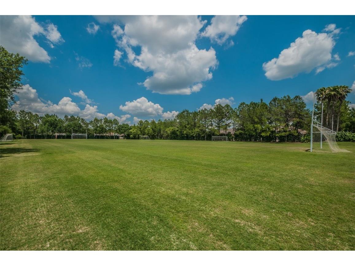 4390 Tarpon Lake Boulevard Palm Harbor FL 34685 - LAKE TARPON U8200843 image27