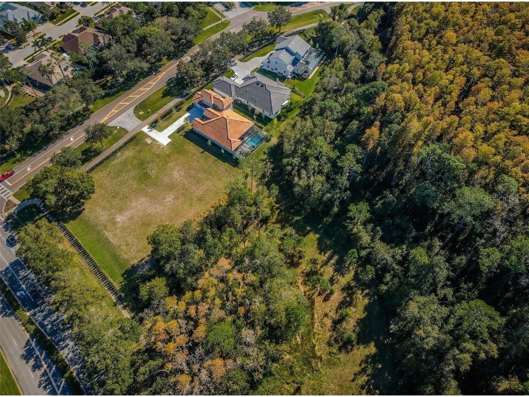 4390 Tarpon Lake Boulevard Palm Harbor FL 34685 - LAKE TARPON U8200843 image3