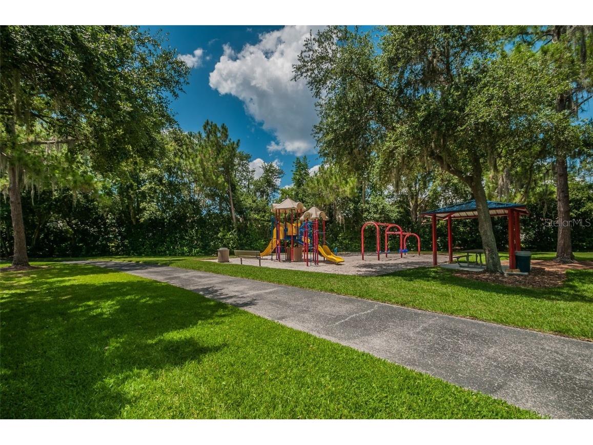 4390 Tarpon Lake Boulevard Palm Harbor FL 34685 - LAKE TARPON U8200843 image30