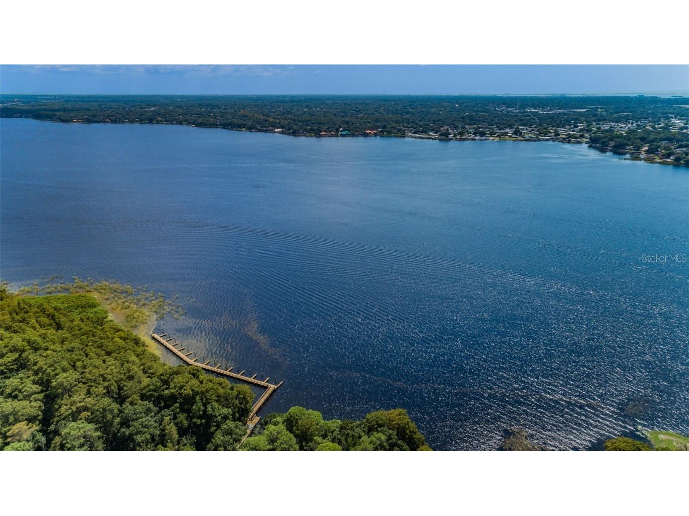 4390 Tarpon Lake Boulevard Palm Harbor FL 34685 - LAKE TARPON U8200843 image37