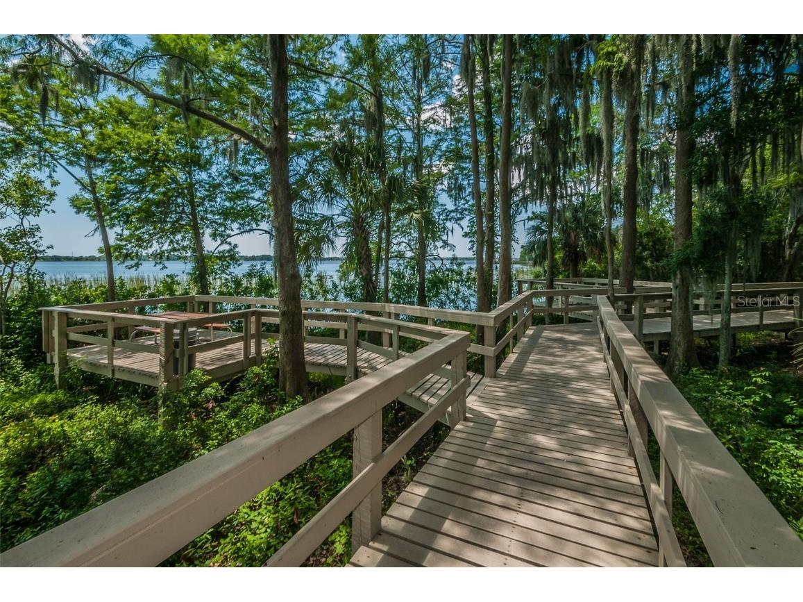 4390 Tarpon Lake Boulevard Palm Harbor FL 34685 - LAKE TARPON U8200843 image41