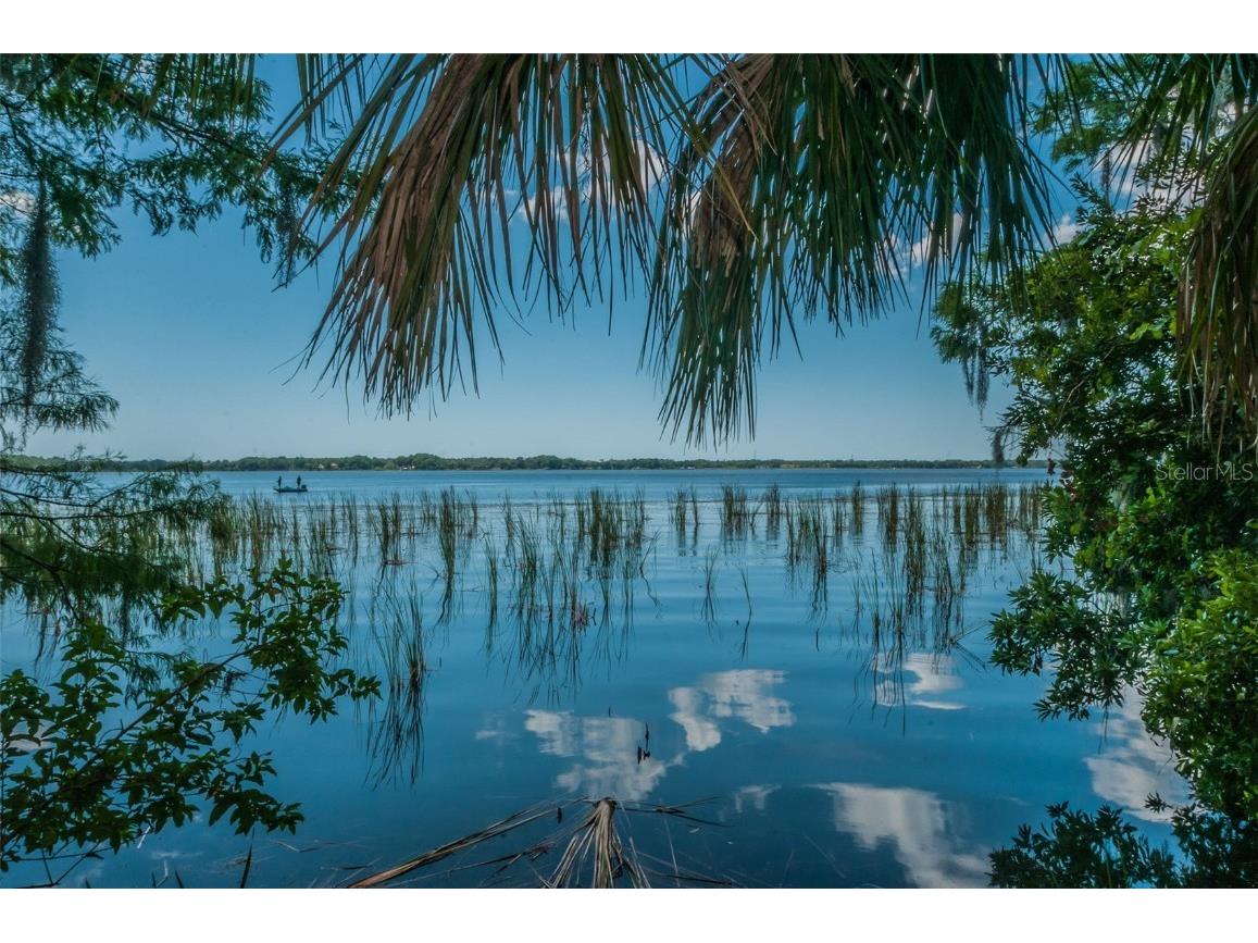 4390 Tarpon Lake Boulevard Palm Harbor FL 34685 - LAKE TARPON U8200843 image42
