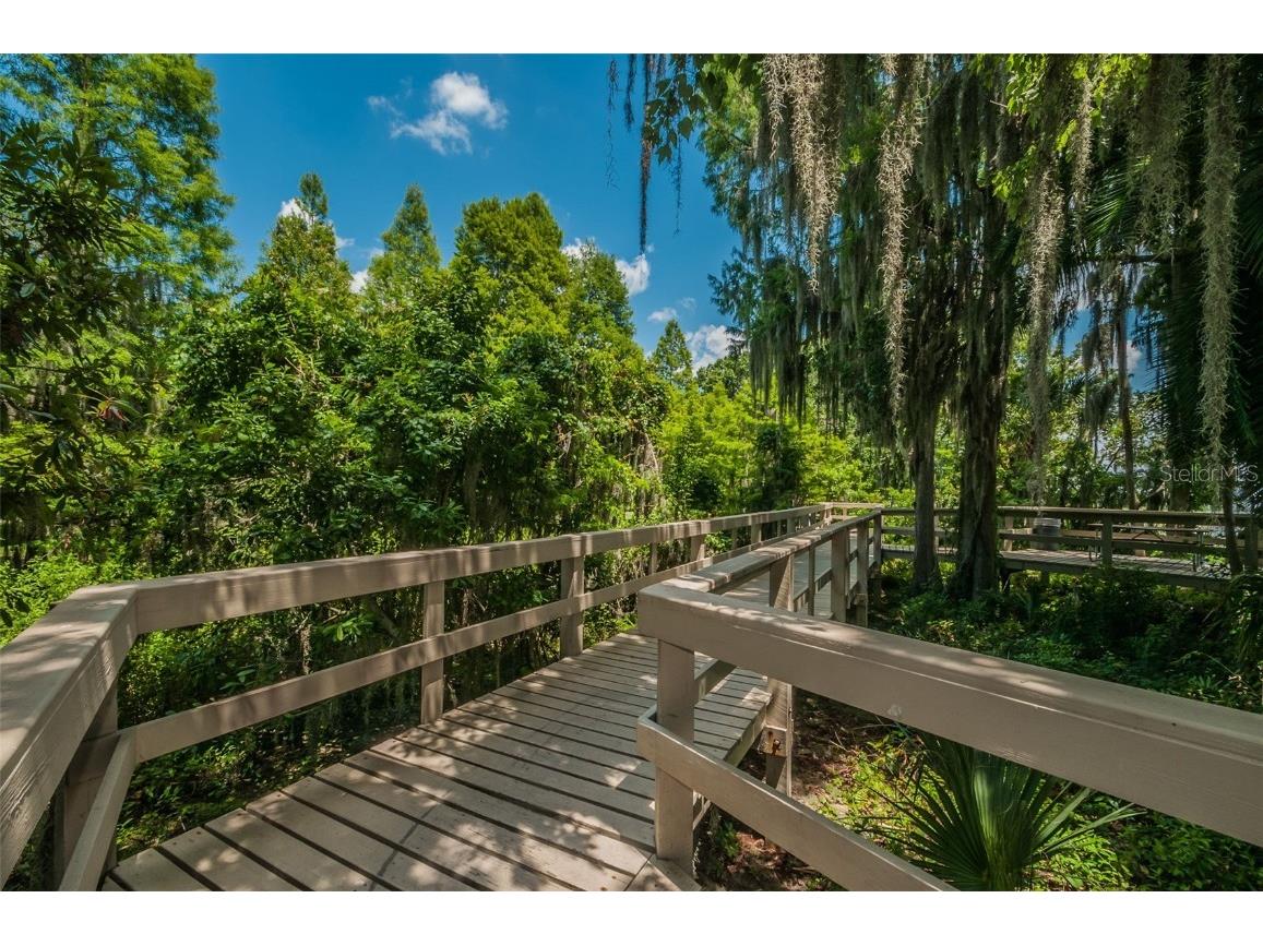 4390 Tarpon Lake Boulevard Palm Harbor FL 34685 - LAKE TARPON U8200843 image44