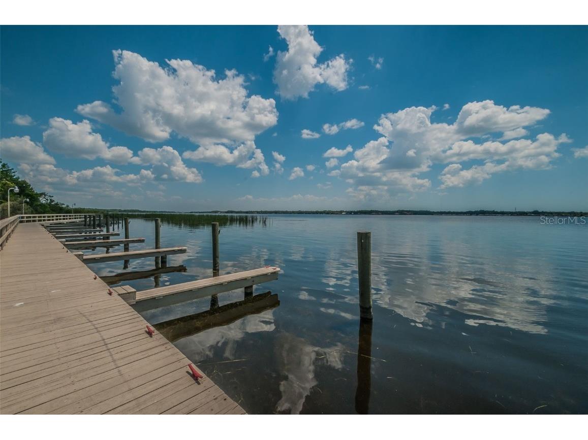 4390 Tarpon Lake Boulevard Palm Harbor FL 34685 - LAKE TARPON U8200843 image48