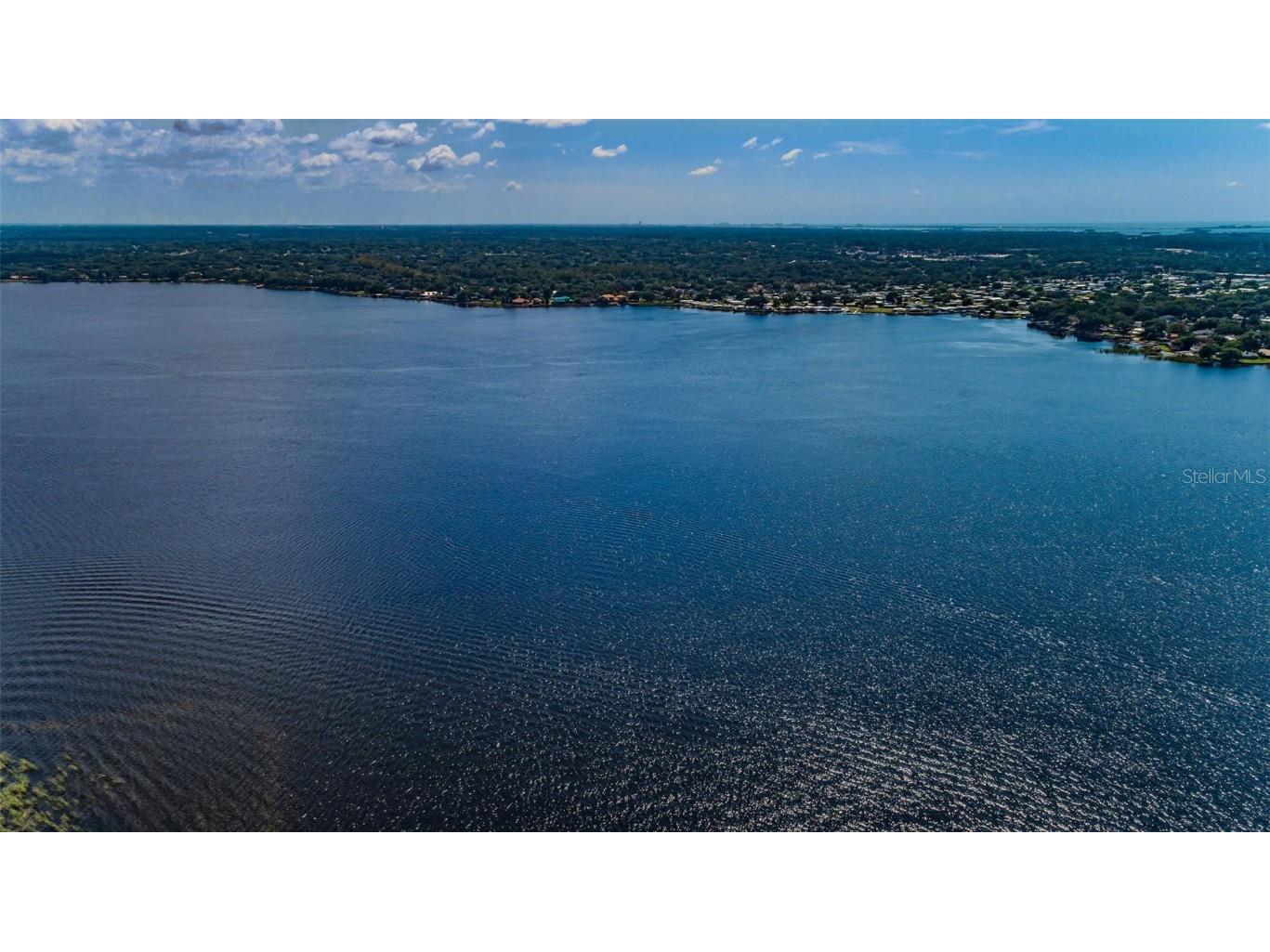 4390 Tarpon Lake Boulevard Palm Harbor FL 34685 - LAKE TARPON U8200843 image49