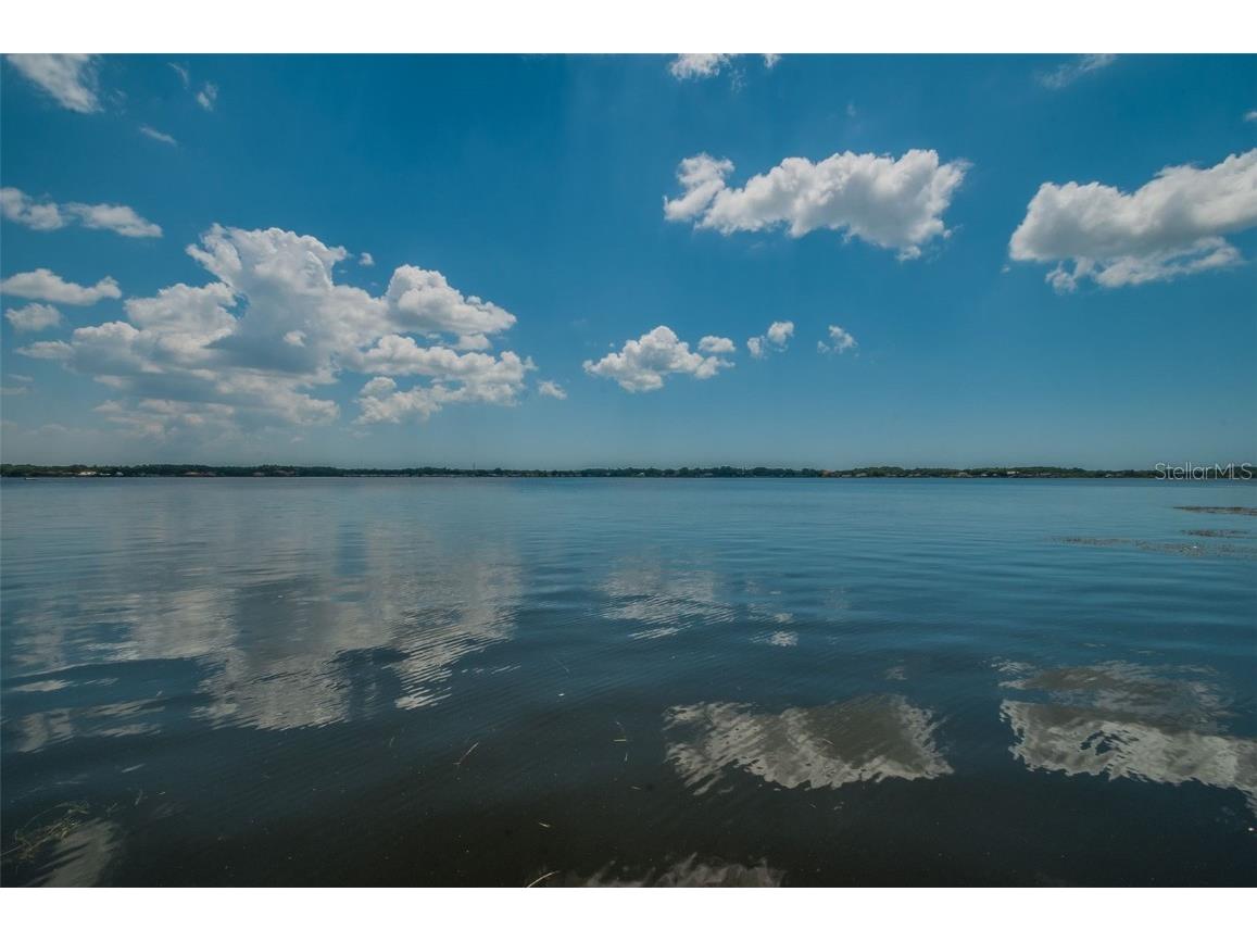 4390 Tarpon Lake Boulevard Palm Harbor FL 34685 - LAKE TARPON U8200843 image50