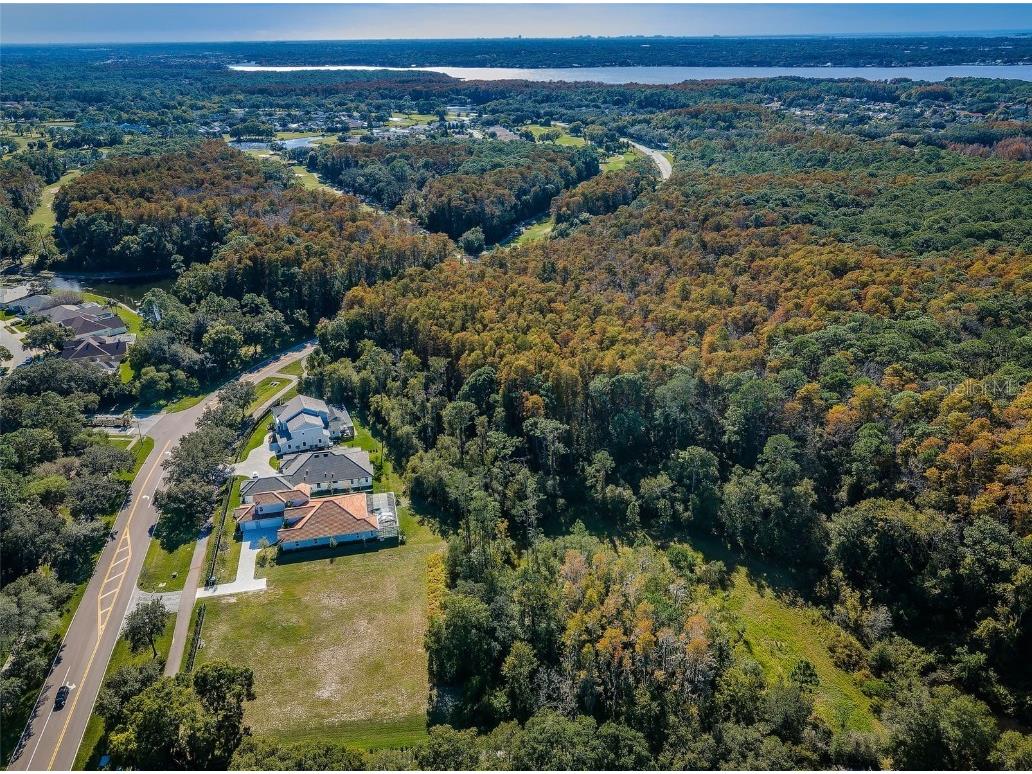 4390 Tarpon Lake Boulevard Palm Harbor FL 34685 - LAKE TARPON U8200843 image6