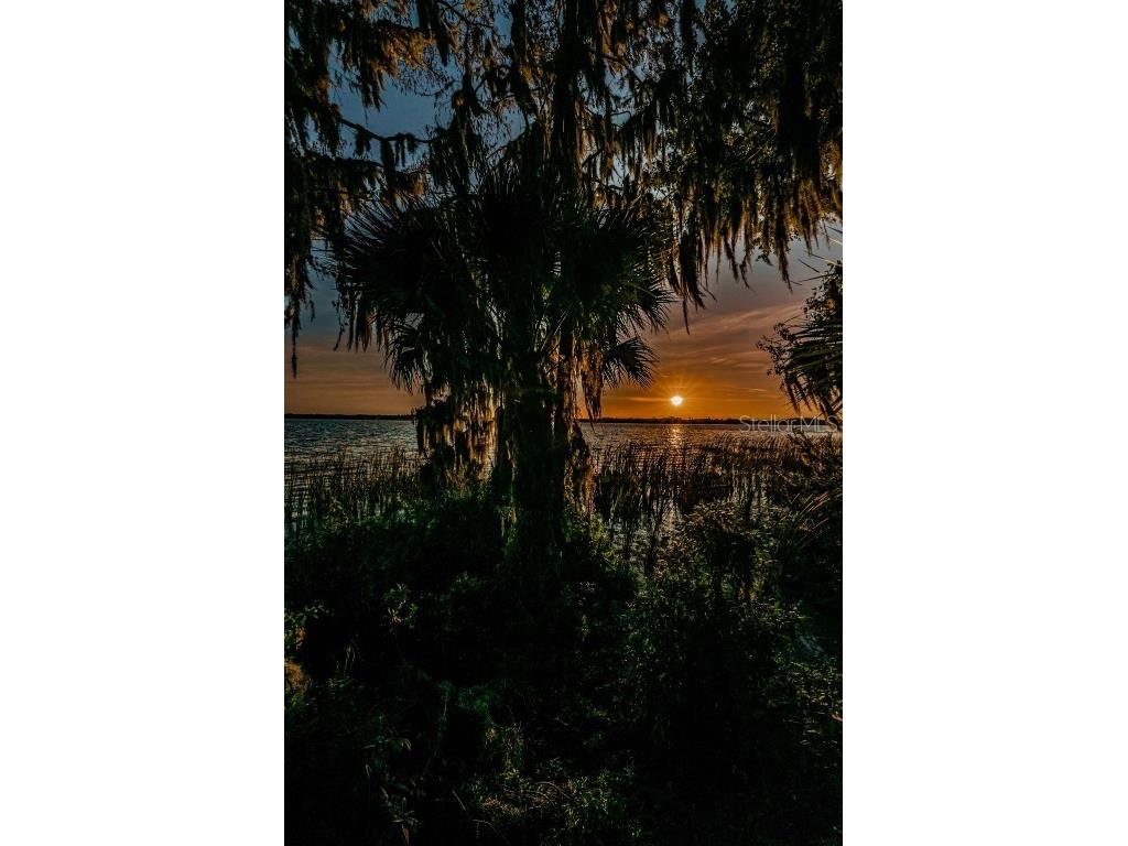 4390 Tarpon Lake Boulevard Palm Harbor FL 34685 - LAKE TARPON U8200843 image61