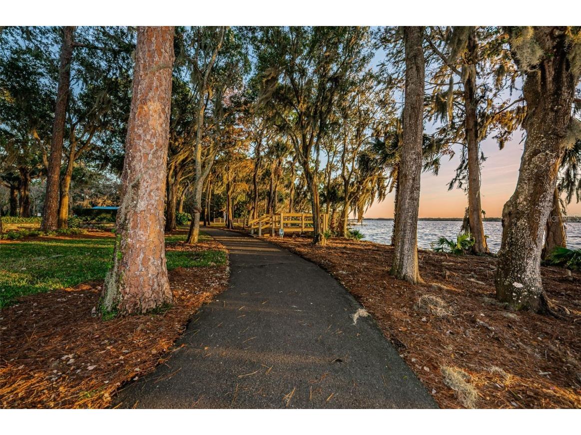 4390 Tarpon Lake Boulevard Palm Harbor FL 34685 - LAKE TARPON U8200843 image63