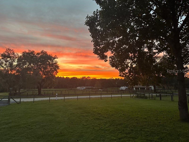 4391 SW 86th Avenue Ocala FL 34481 OM690121 image3