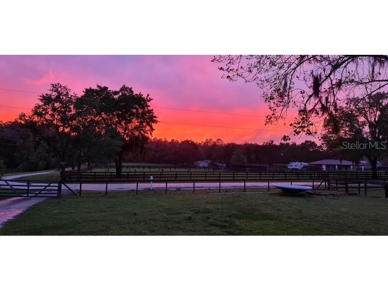 4391 SW 86th Avenue Ocala FL 34481 OM690121 image4