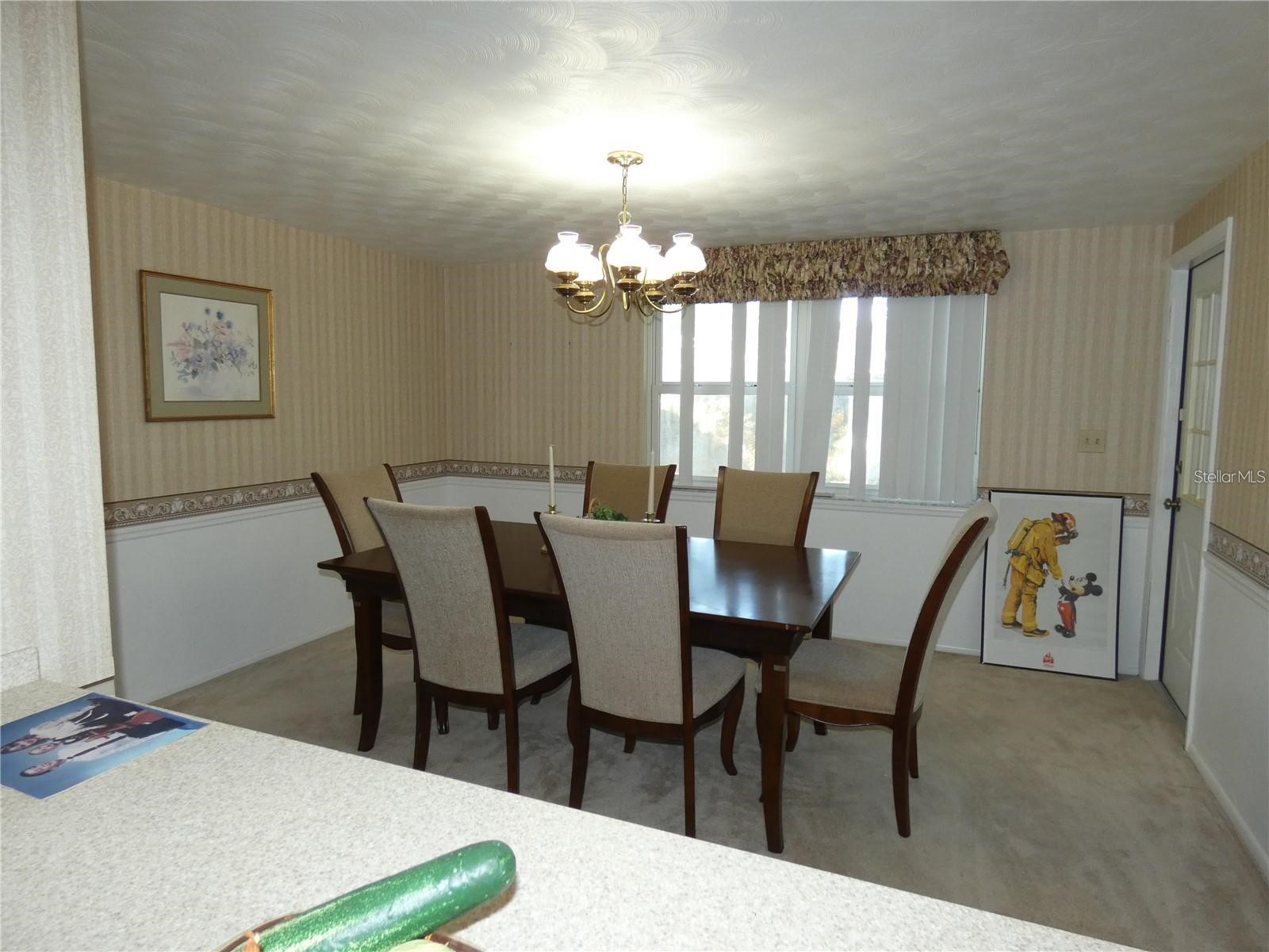 4392 Craftsbury Drive New Port Richey FL 34652 W7885986 image16