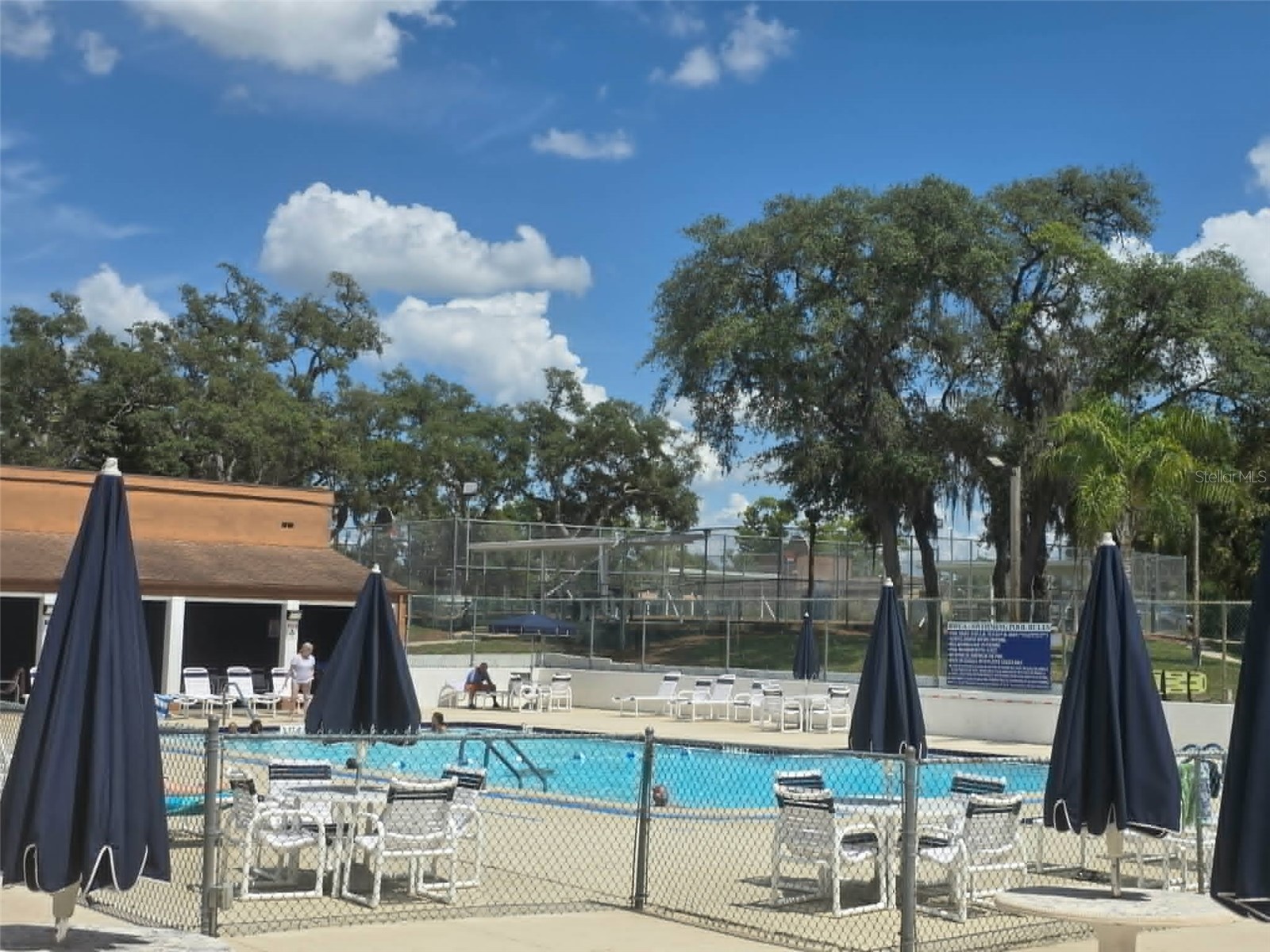 4392 Craftsbury Drive New Port Richey FL 34652 W7885986 image36