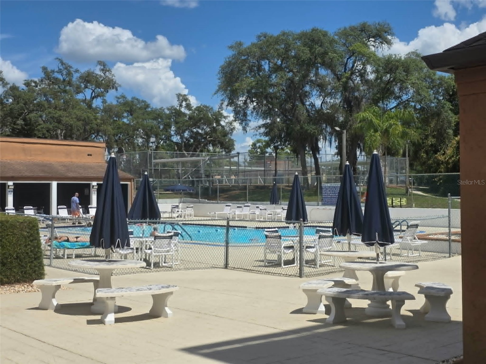 4392 Craftsbury Drive New Port Richey FL 34652 W7885986 image37