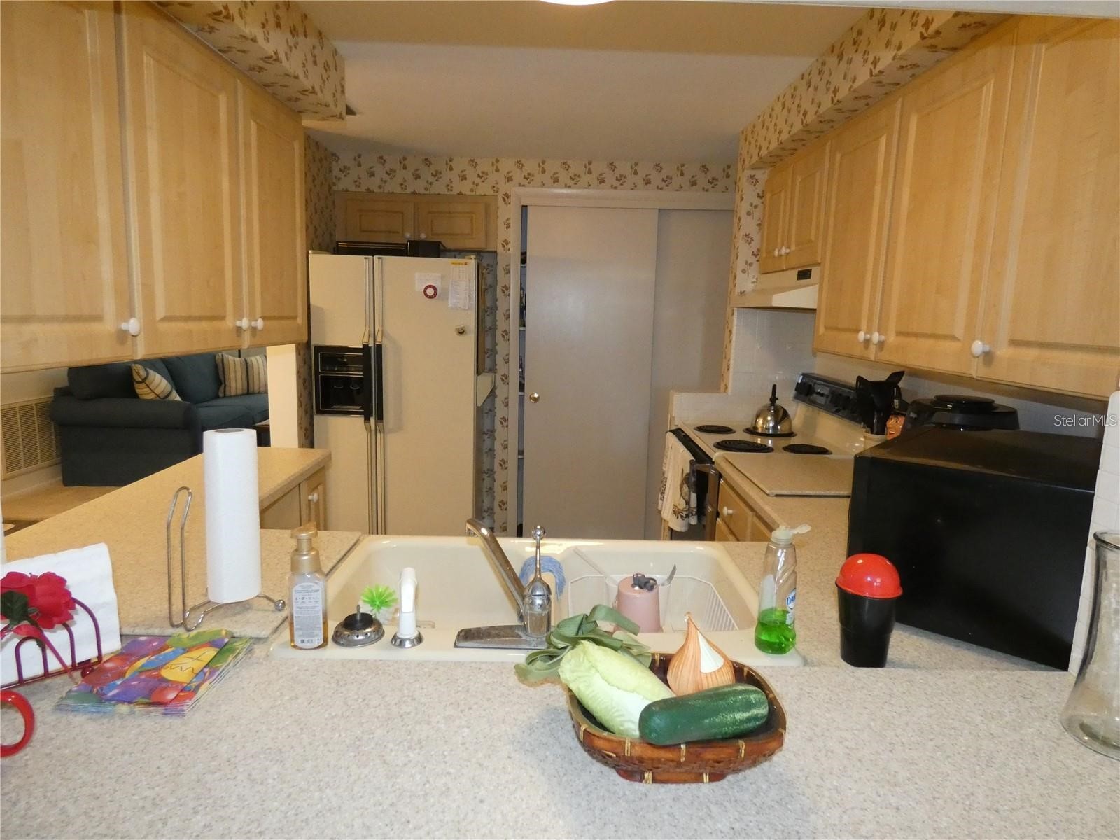 4392 Craftsbury Drive New Port Richey FL 34652 W7885986 image7