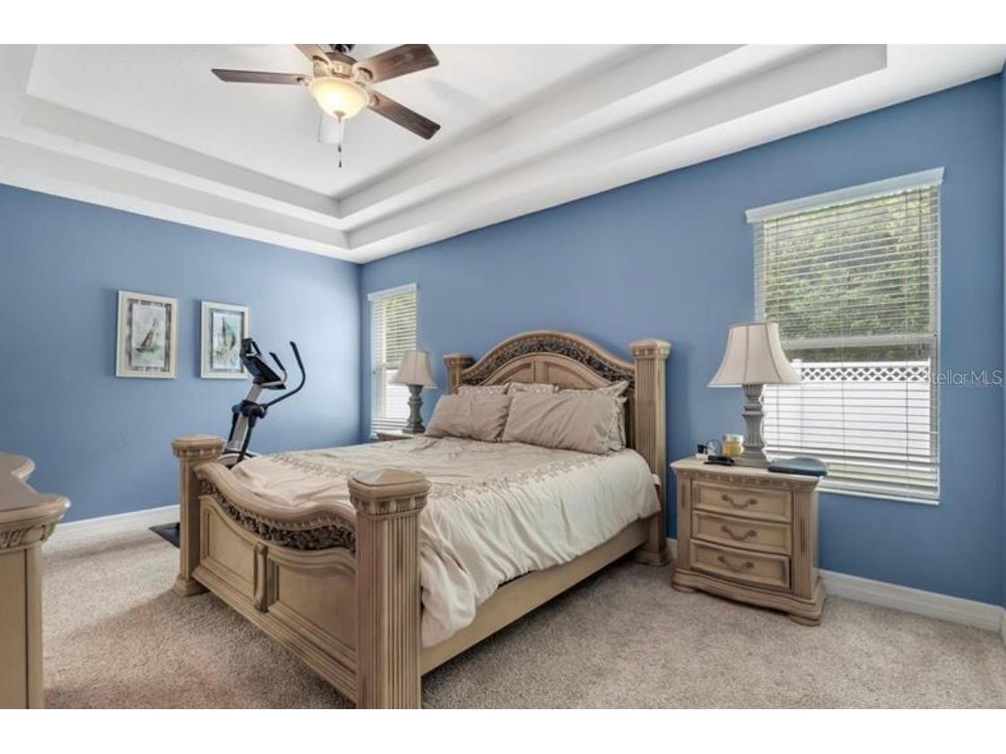 4392 Vermillion Sky Drive Wesley Chapel FL 33544 O6350766 image15