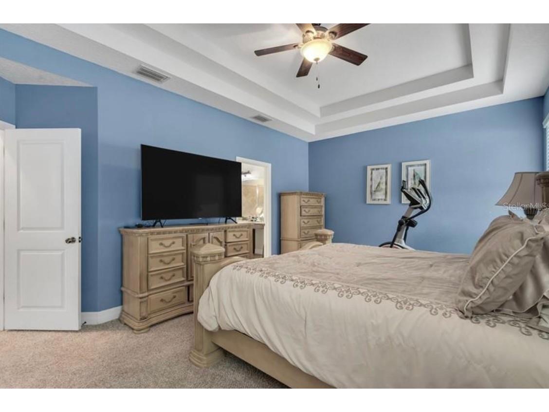 4392 Vermillion Sky Drive Wesley Chapel FL 33544 O6350766 image16