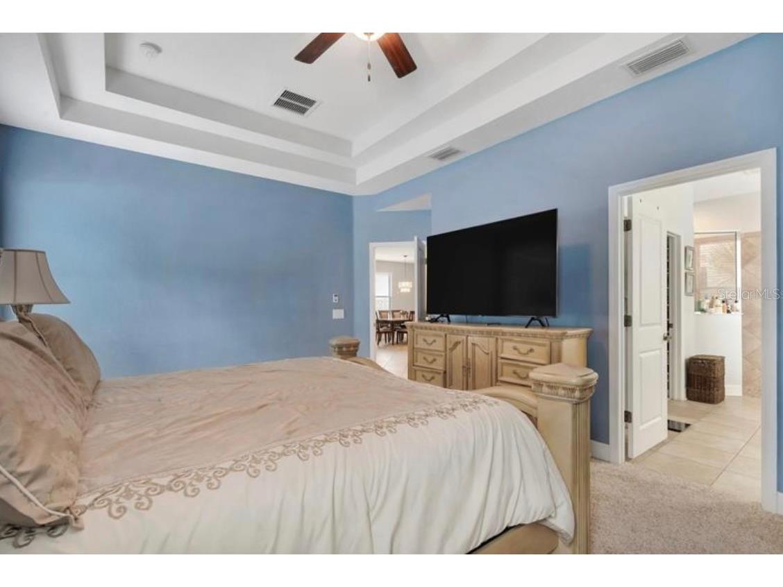 4392 Vermillion Sky Drive Wesley Chapel FL 33544 O6350766 image17