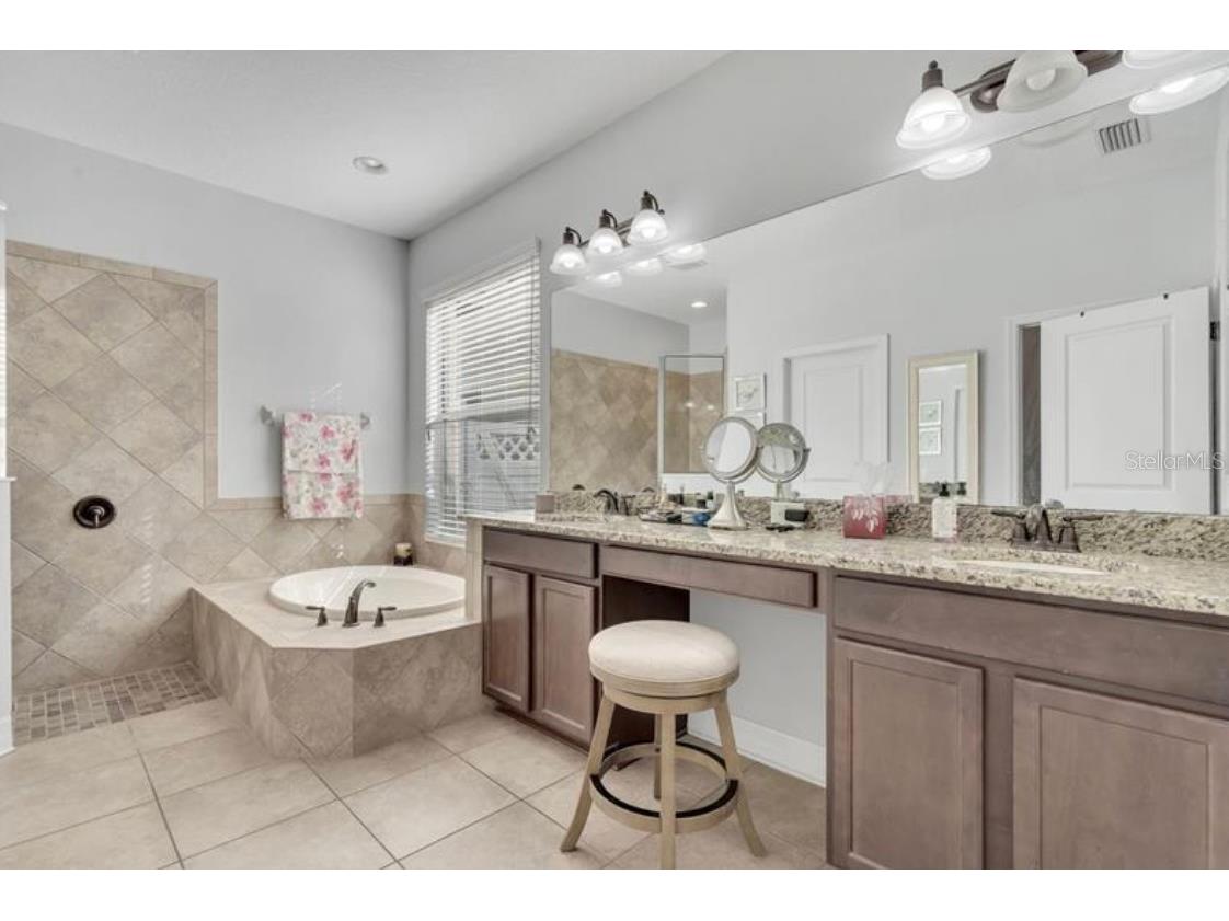 4392 Vermillion Sky Drive Wesley Chapel FL 33544 O6350766 image18