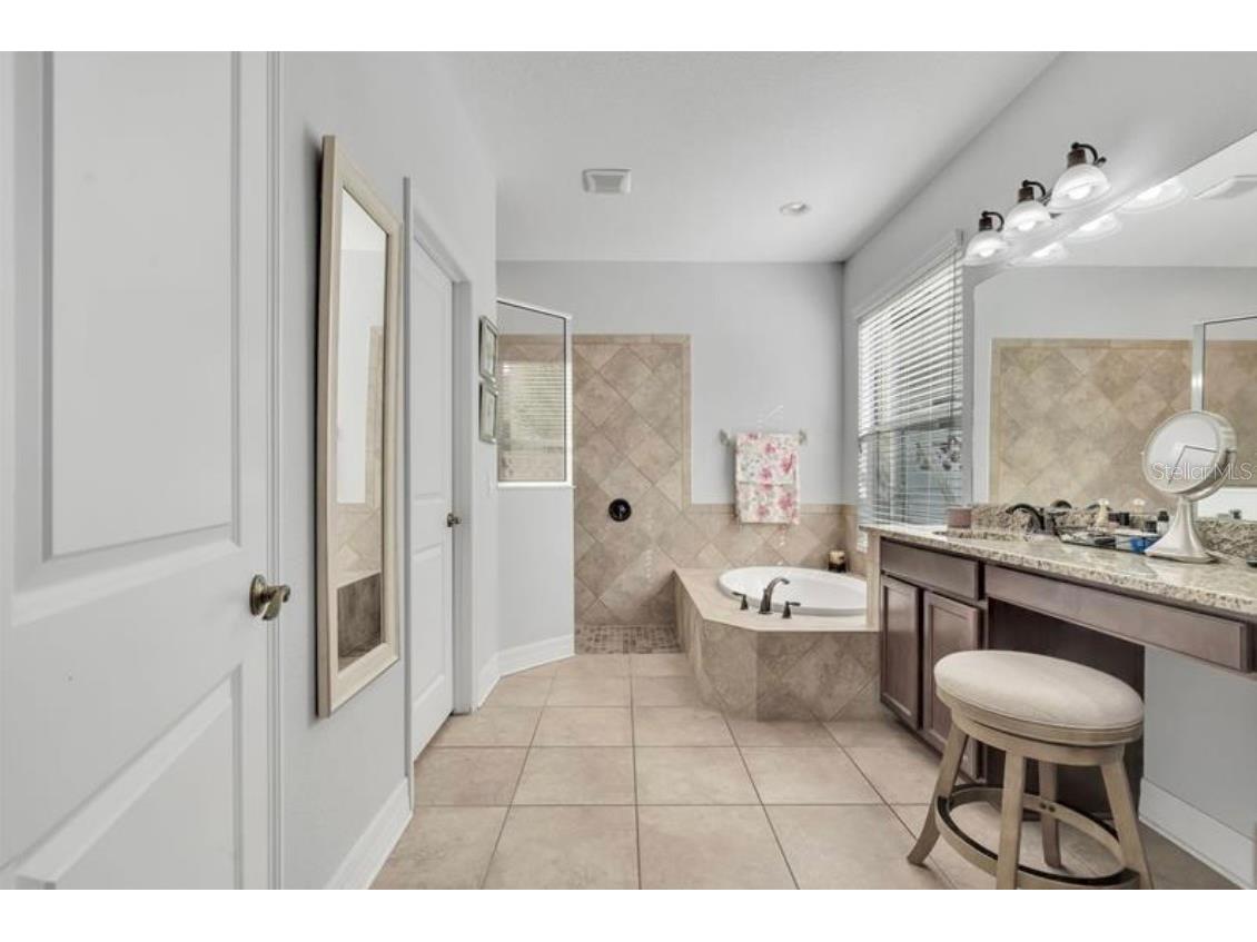 4392 Vermillion Sky Drive Wesley Chapel FL 33544 O6350766 image19