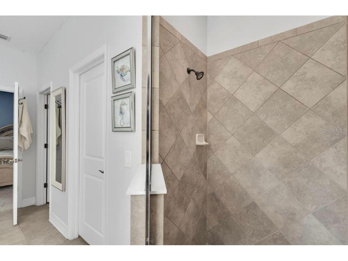 4392 Vermillion Sky Drive Wesley Chapel FL 33544 O6350766 image20