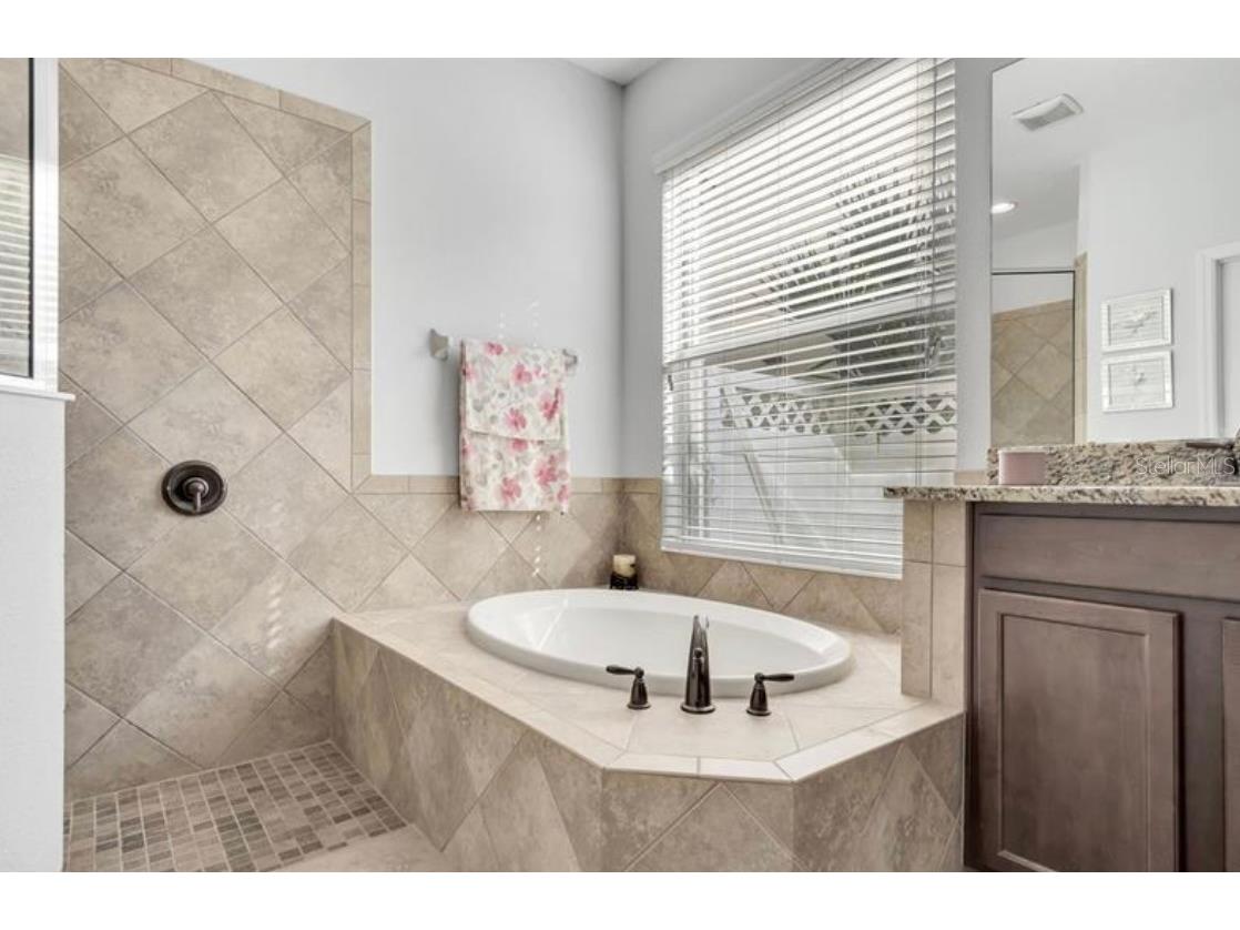 4392 Vermillion Sky Drive Wesley Chapel FL 33544 O6350766 image21