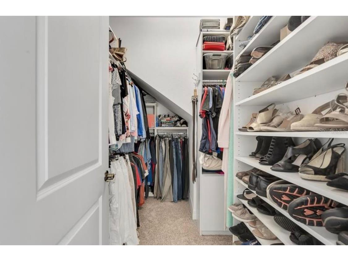 4392 Vermillion Sky Drive Wesley Chapel FL 33544 O6350766 image22