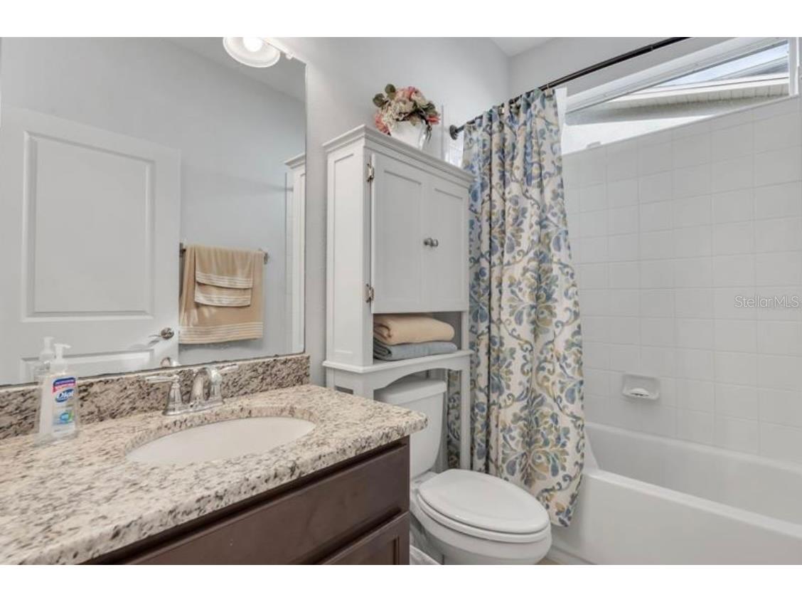 4392 Vermillion Sky Drive Wesley Chapel FL 33544 O6350766 image25