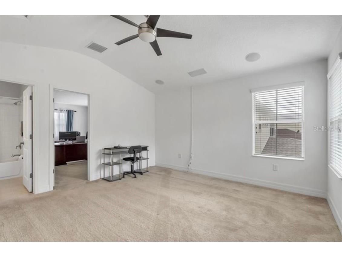 4392 Vermillion Sky Drive Wesley Chapel FL 33544 O6350766 image29