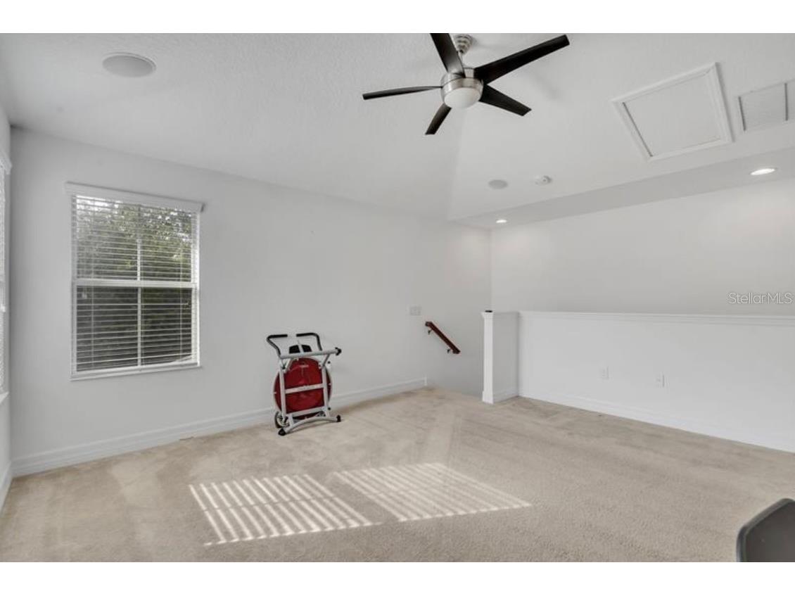 4392 Vermillion Sky Drive Wesley Chapel FL 33544 O6350766 image30