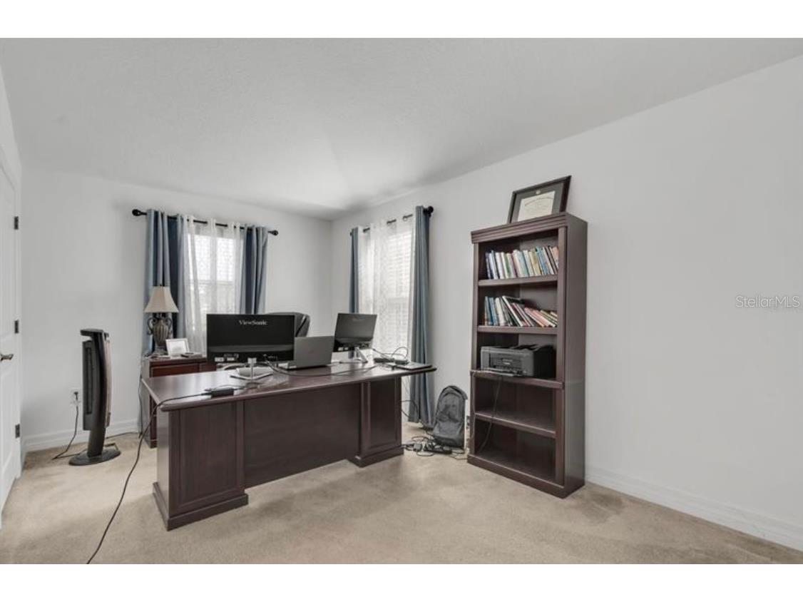 4392 Vermillion Sky Drive Wesley Chapel FL 33544 O6350766 image31